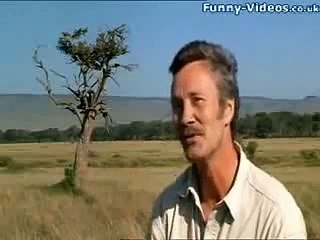 Naughty Cheetah Peeing on the Safari Car