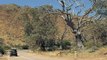 Arkaba Walk - Flinders Ranges, South Australia