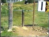 Funny Dog Revolving Door Fail