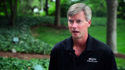 How to Tell if Your Dog is Stressed