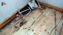 Shnilé dřevěné podlahy bez izolace myši a plísně řádí pod podlahou !