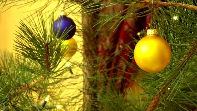 Czerwone Gitary - Jest taki dzień