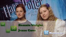 Ginny Weasley & Lavender Brown - Harry Potter Love Interests - Who will Harry Marry?