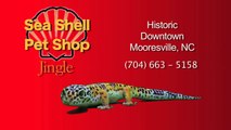 Sea Shell Pet Shop Jingle (Funny Lizard / Parrot!!!) Mooresville