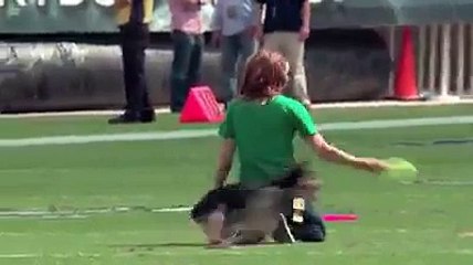 Awesome Trained Dog