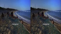 IMAX Wild Ocean 3D Trailer (yt3d:enable=true)