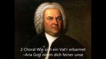 BWV225 Motet Singet dem Herrn ein neues Lied Philippe Herreweghe 2011