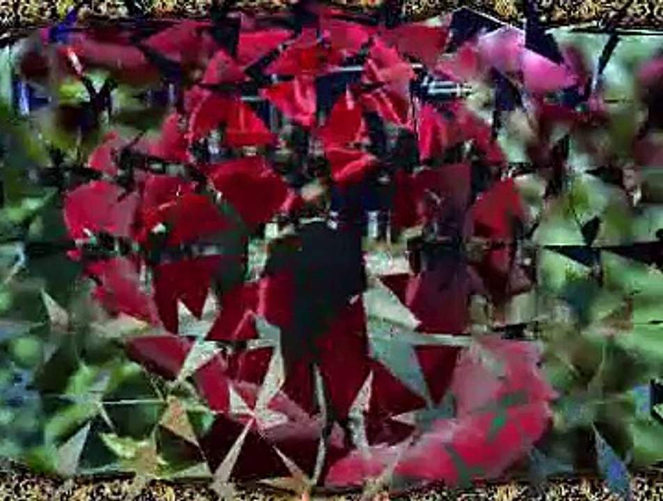 Eyüp UYANIKOĞLU *Şimdi Bahara Erdim Gonca Gonca Gül Derdim*