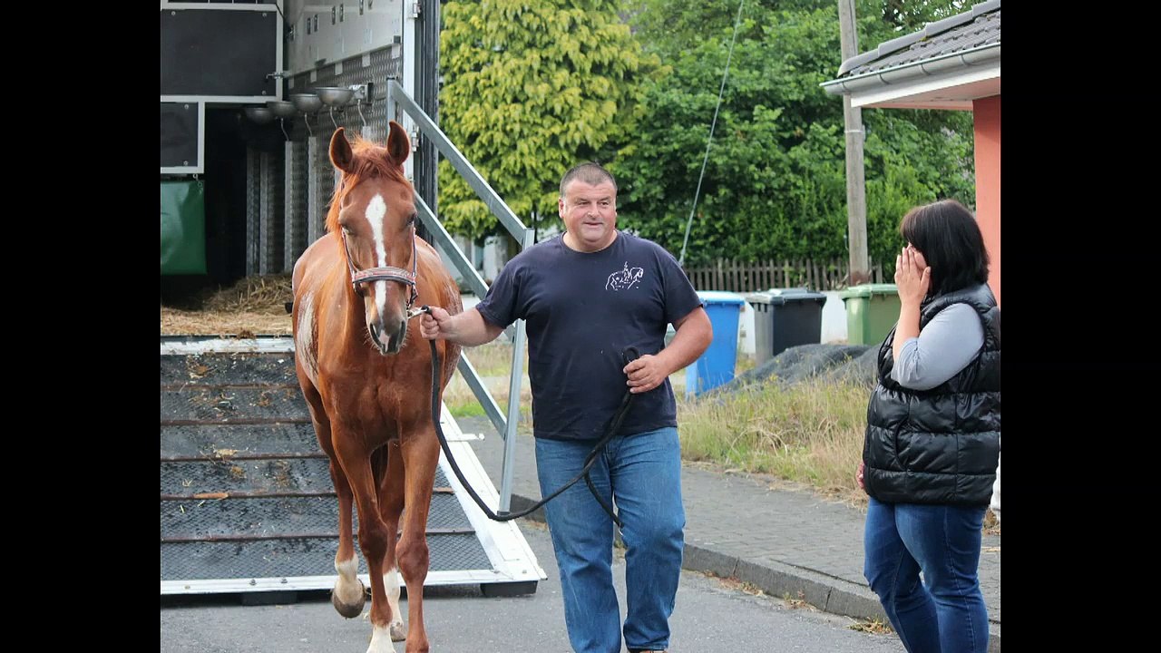 Pilgrim...  .es kommt zusammen was zusammen gehört