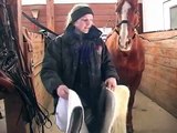 How to Tack Up a Horse : How to Put the Saddle & Back Pads on a Horse