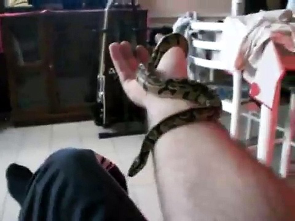 Il mio cucciolo Pito