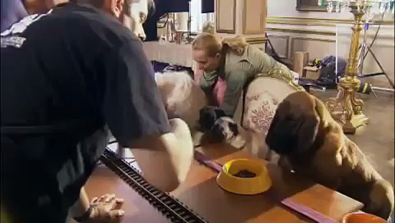 Hotel for Dogs