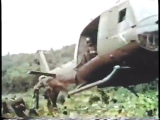 Bruce Crandall, Medal of Honor, Vietnam War