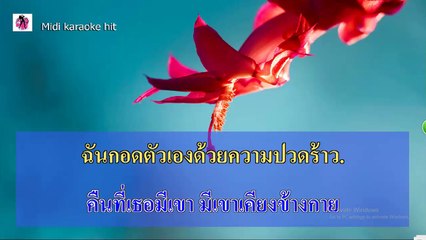 หลับทั้งน้ำตา คาราโอเกะฮิต Thaikaraokehit HD หญิง ธิติกานต์