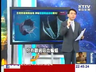 古老的深海吸血鬼 神秘「巨型吸血怪」畫面曝光？！20140711-3