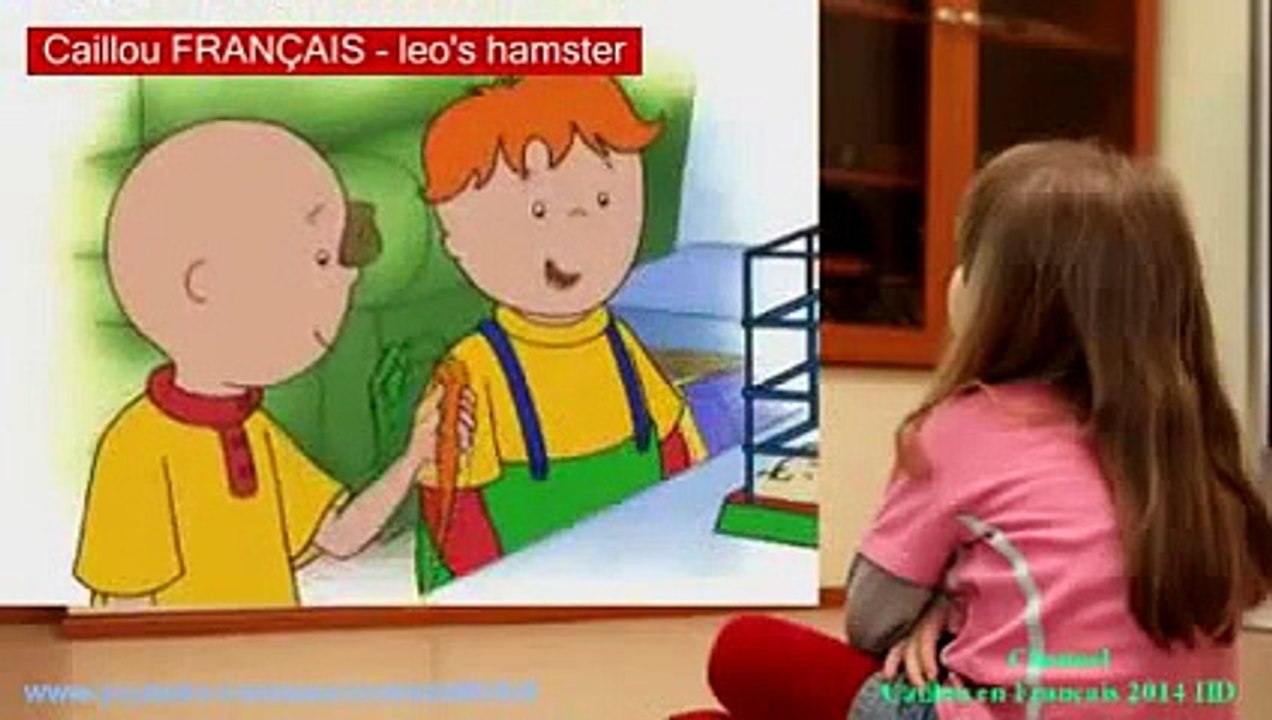 Caillou FRANÇAIS - Le hamster de Léo (S02E13)