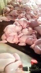 Worst Chicken Scandal in The History of Pakistan -