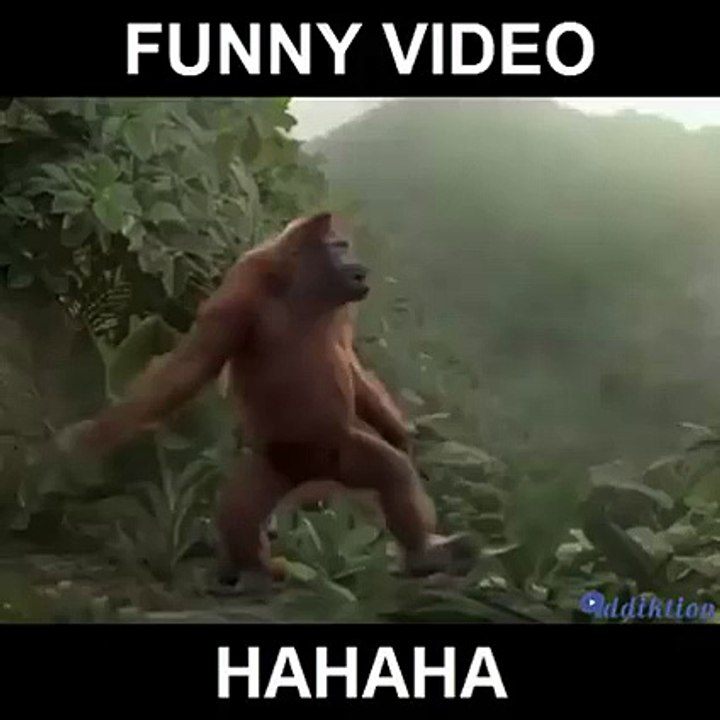 11290678_618035341633487_306428940_n