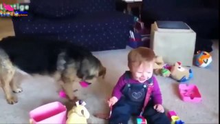Funny baby video laughing  dog and baby sleeping together