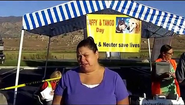 8/24/13, Lake Isabella - Fix Your Pets Mobile spay/neuter clinic, Kern County, California