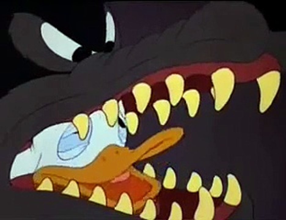 Donald Duck Flight Bear Normal,Fast and Slow