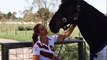 Horse Floats for Sale Vic, Qld, Tas, Melbourne, NSW, SA, Australia