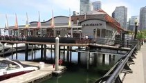 Coal Harbour, Seawall, Marina, Downtown, Vancouver, BC, Canada, Video Tour