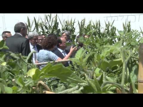 Milano - Expo: Renzi riceve Hollande. Visita ai padiglioni francese e italiano (21.06.15)