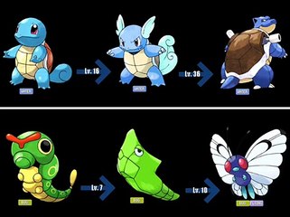 Pokémon- How to Evolve - All Evolution Lines (Gene