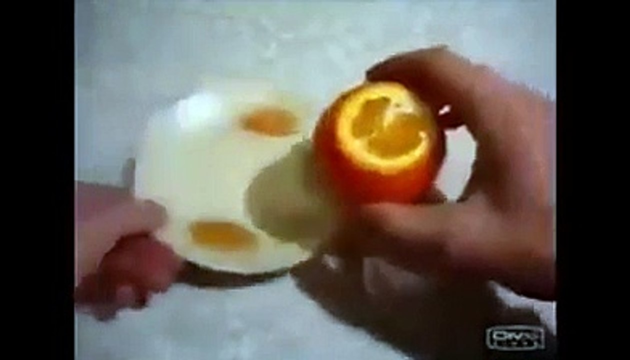 funny videos
