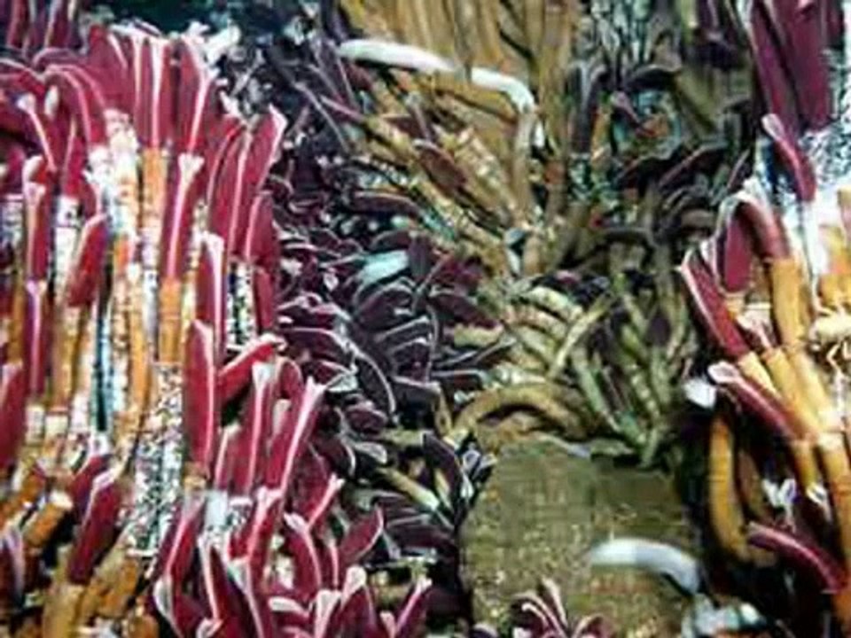 Musicoterapia- autoayuda-depresion-música acuatica de Haendel