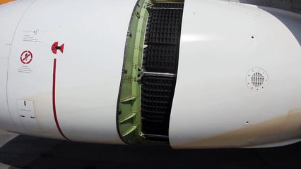 Engine reverse thrust