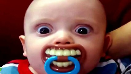 Whatsapp Funny Videos | Best videos 2015 - Animal Babies 2015 | Tombos Funny To Laugh