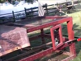 Rooster Traumatized by Guinea Hen Attack