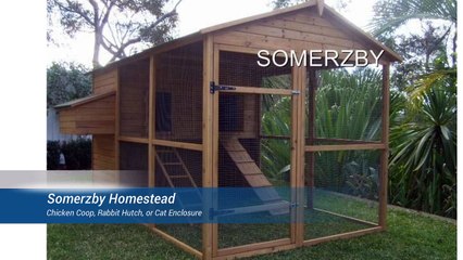 Chicken Coops - Somerzby Homestead