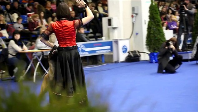 Выставка собак- Россия-2013 -танцы-попурри-ч.1