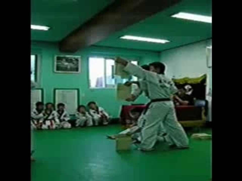 hapkido jin jung kwan france