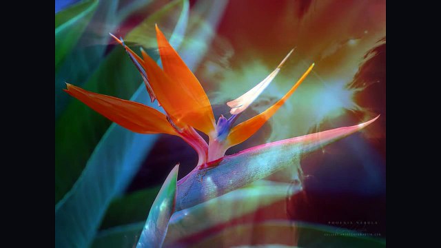 ATB - Intencity (uplifting trance)