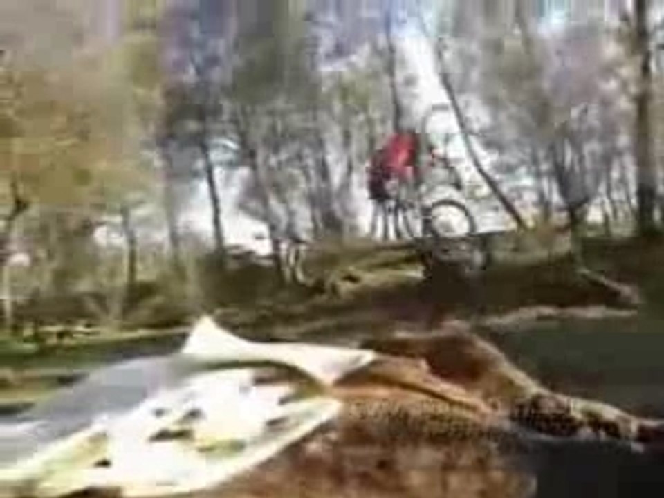 Crazy Bike Tricks from TartyBikes