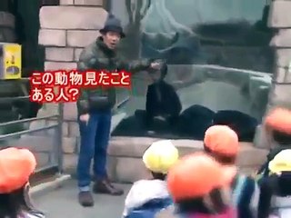 トータルテンボス　今日のいたずら　#4 　動物園ｗ