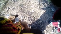 Perros de rescate: Un pitbull en el escombro