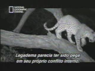 Wonders Of The Nature