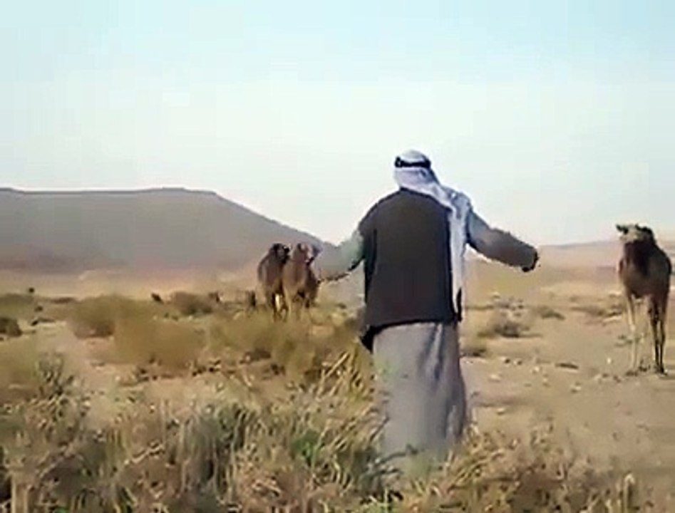 funny video