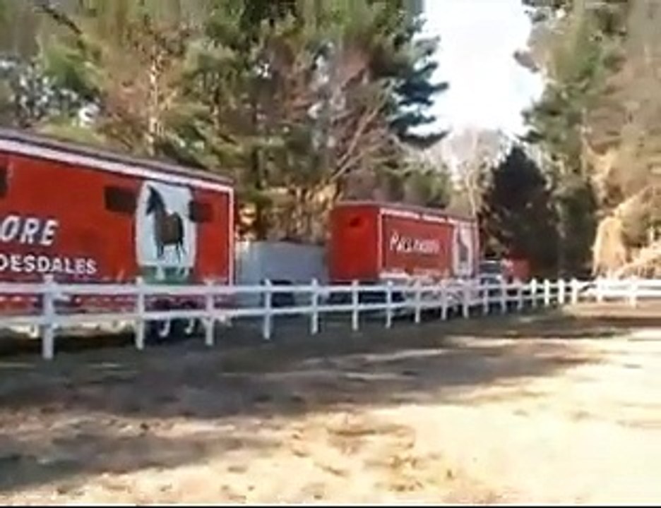 Hallamore Clydesdale Horses in Lakeville MA video Dailymotion