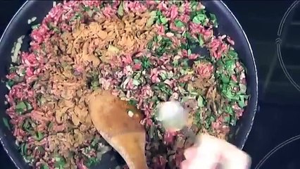 Briouats à la viande hachée