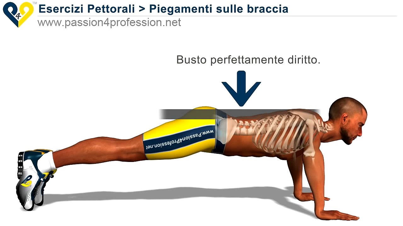 Piegamenti sulle braccia