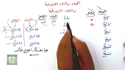 التاء المربوطة  والتاء المفتوحة والهاء