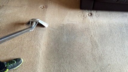Professional Carpet Cleaners London