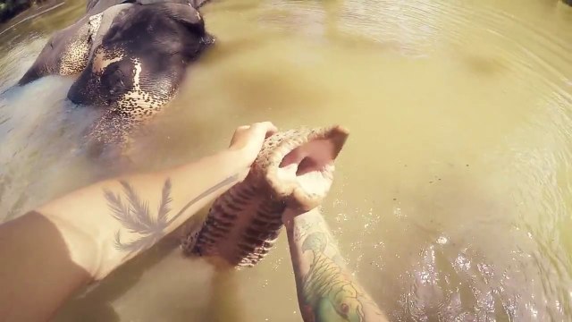 Alexander Tikhomirov film ses vacances sexy au Sri Lanka