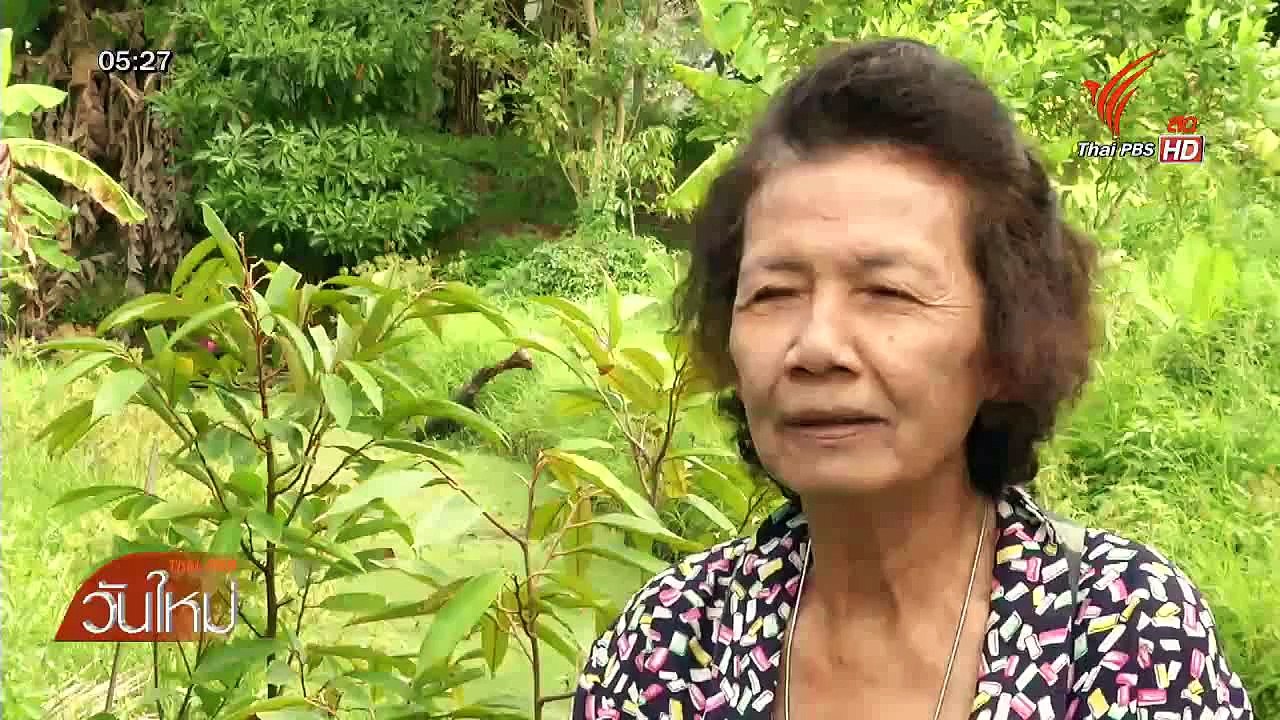 วันใหม่ Thai PBS : 22 มิ.ย. 58 (2/3)